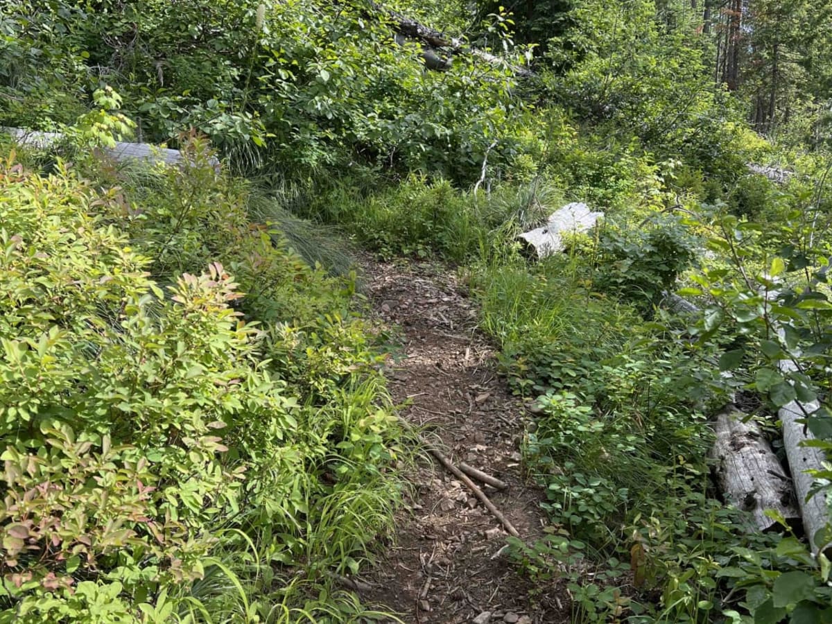 Jewel Gulch photo 4