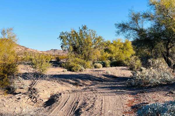 Mid-Range Access Trail