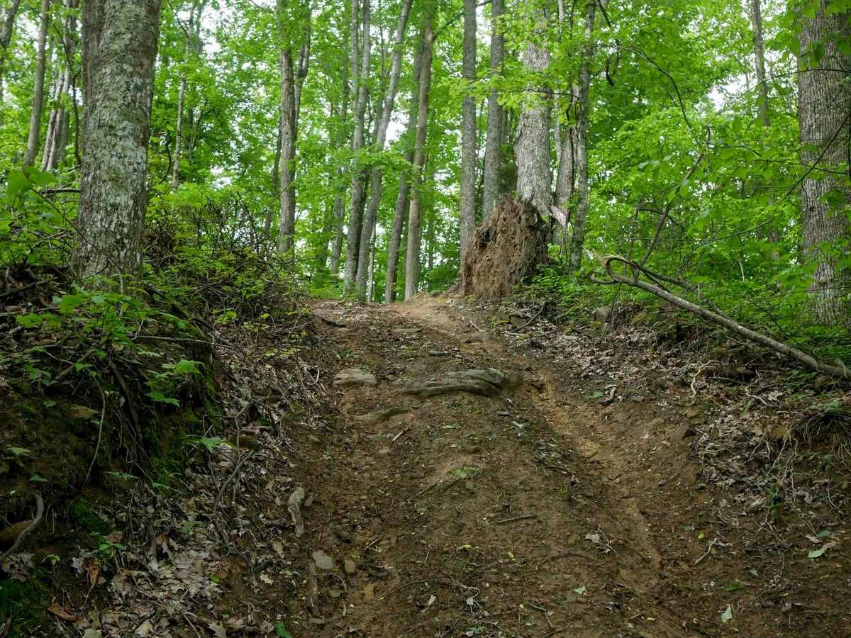 J92 trail photo