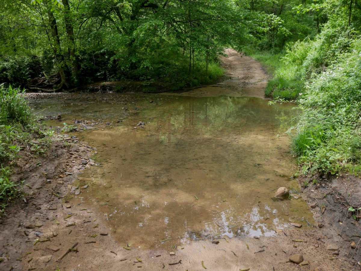 IB 35 photo 3