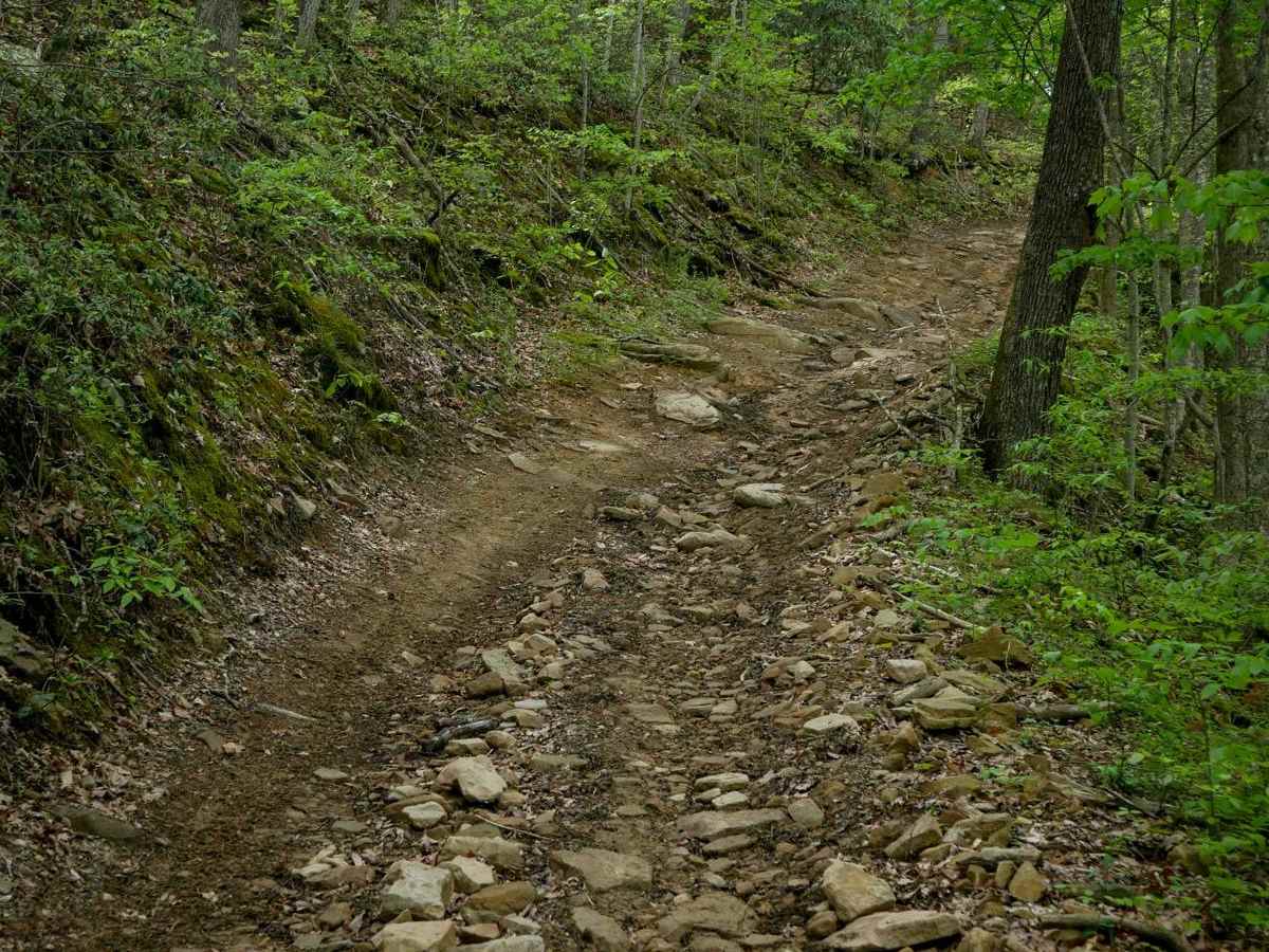 W73 trail photo