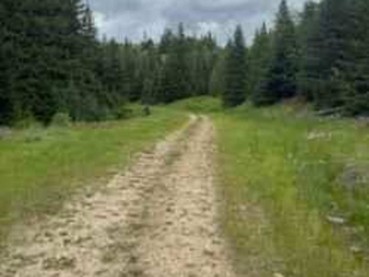 Akers-Excavation Trail 8240 photo 5