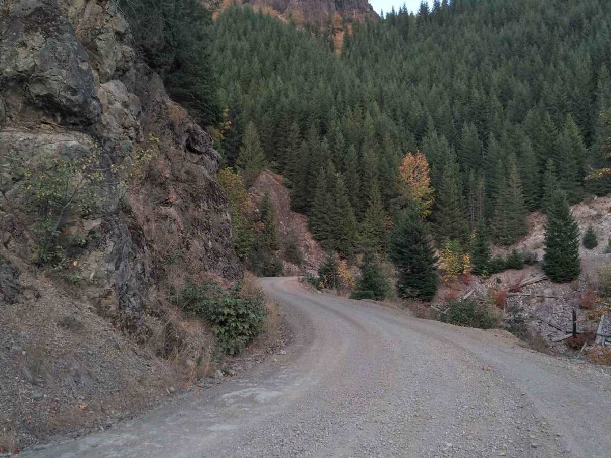 Soda Fork - 2041 photo 3