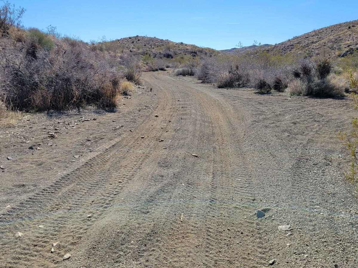Gold Range Mine trail photo