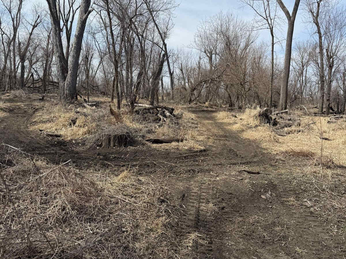 B1 trail photo