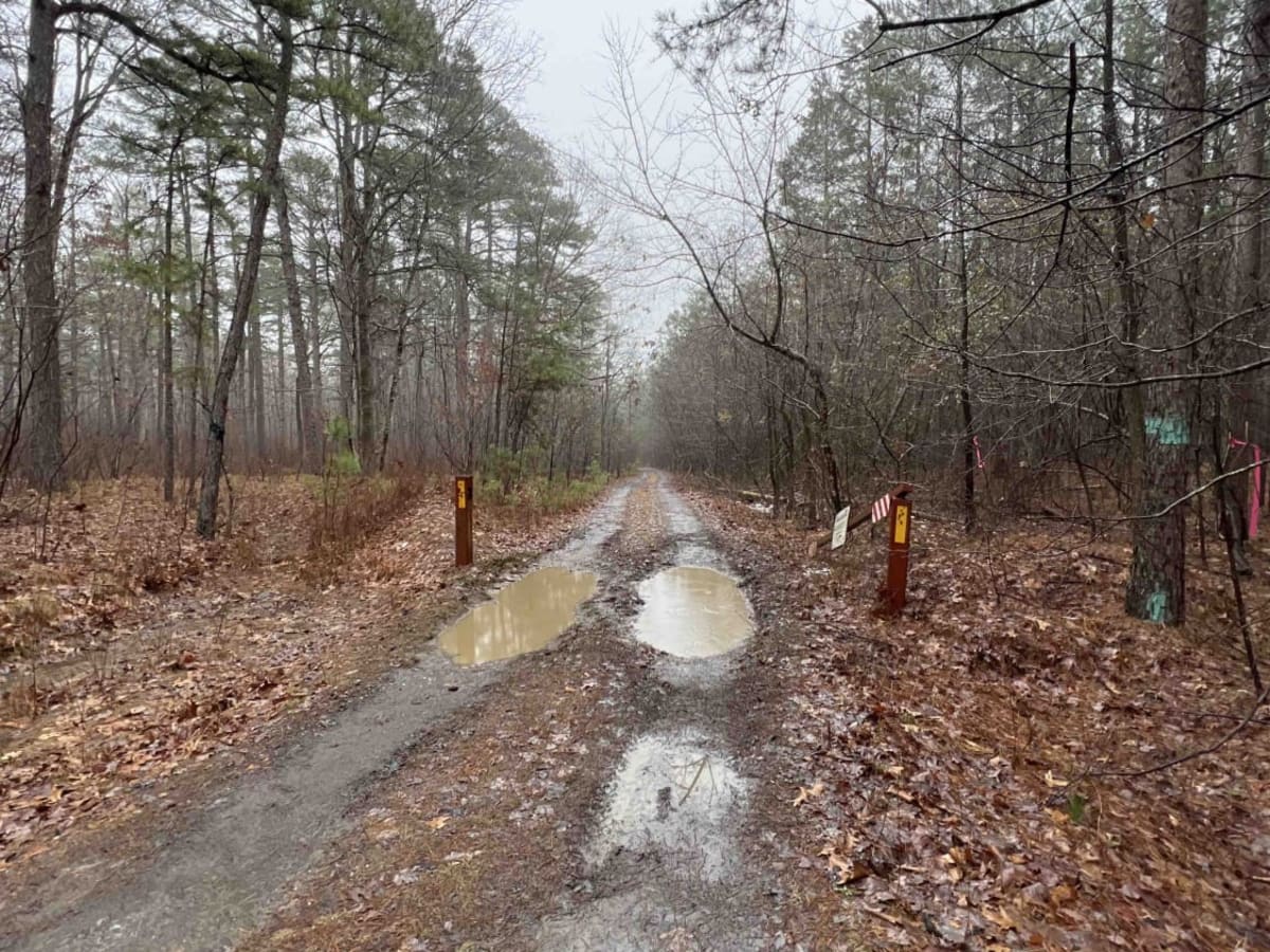 North Fork Pinnacle Road 132C photo 2