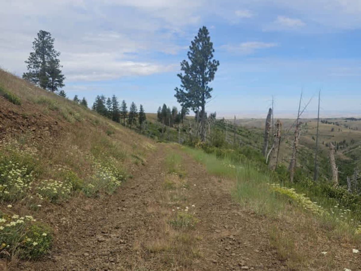 Ables Ridge photo 3