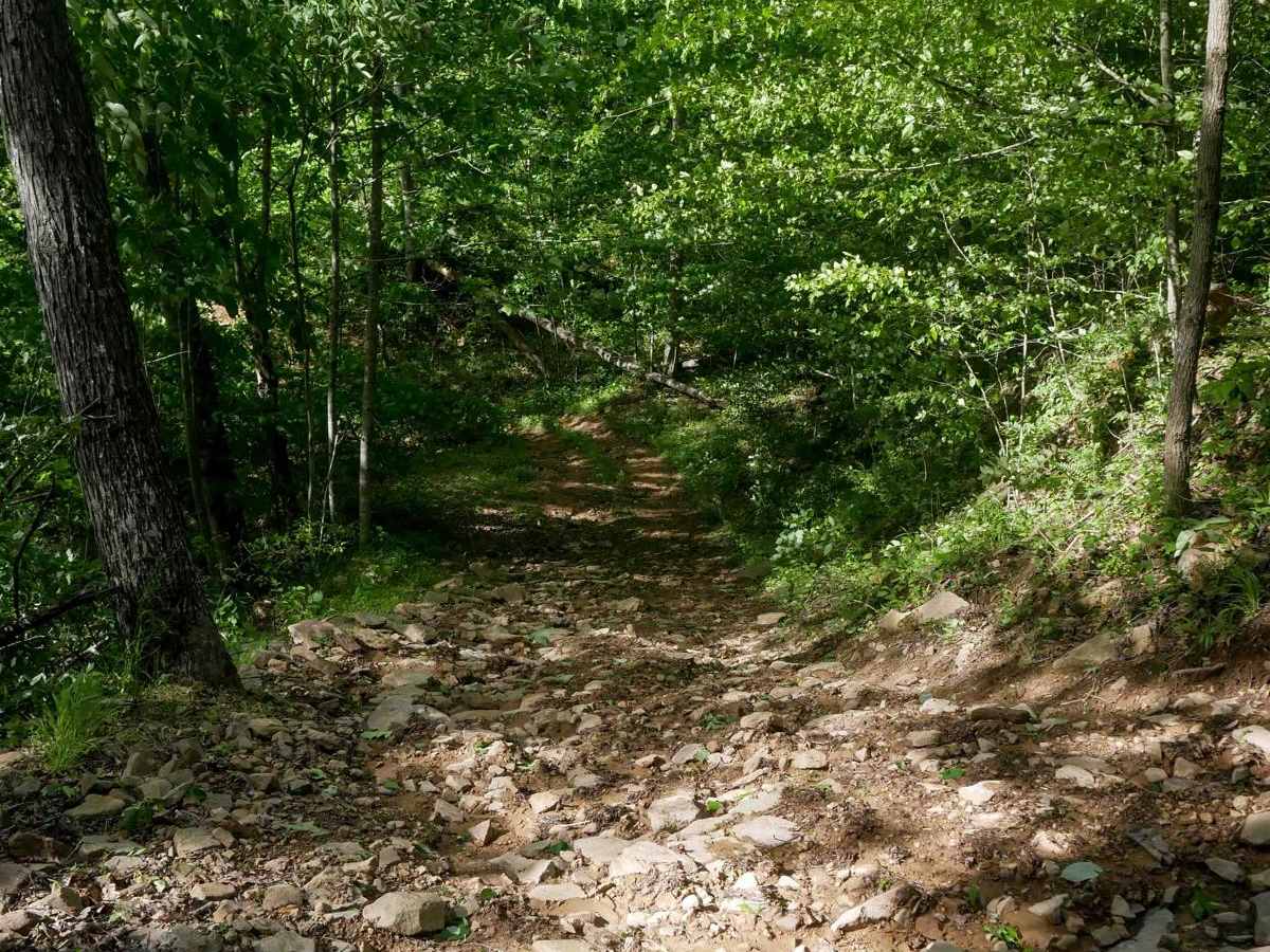 RV28 photo 5
