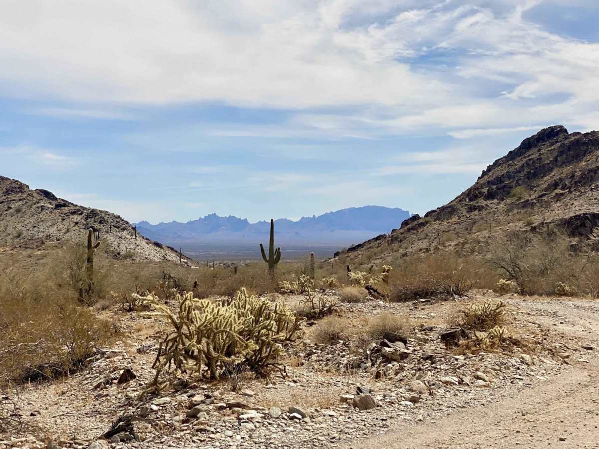 Pipeline Road - EC1294 photo 6