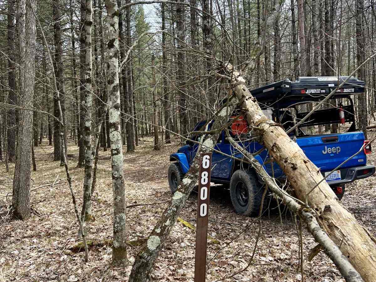 NFS 6800 trail photo