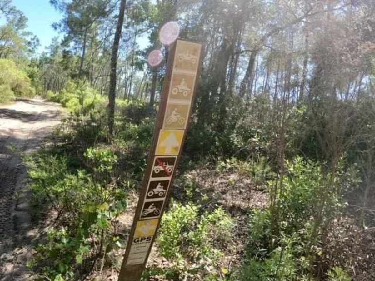 Longleaf Trail photo 3