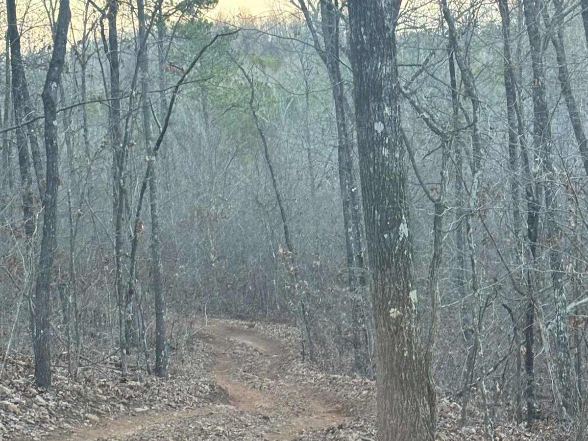 Lincoln View Trail photo 2
