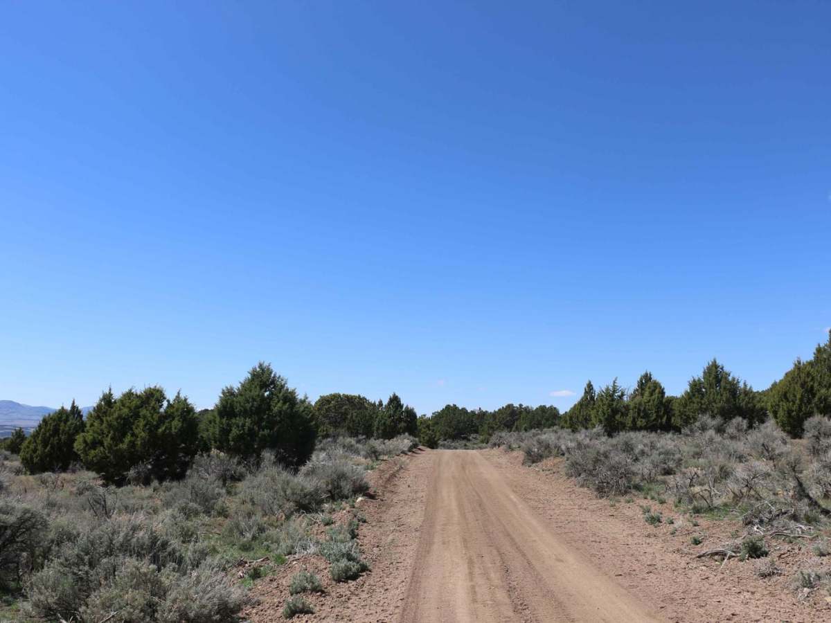 Diamond Divide trail photo