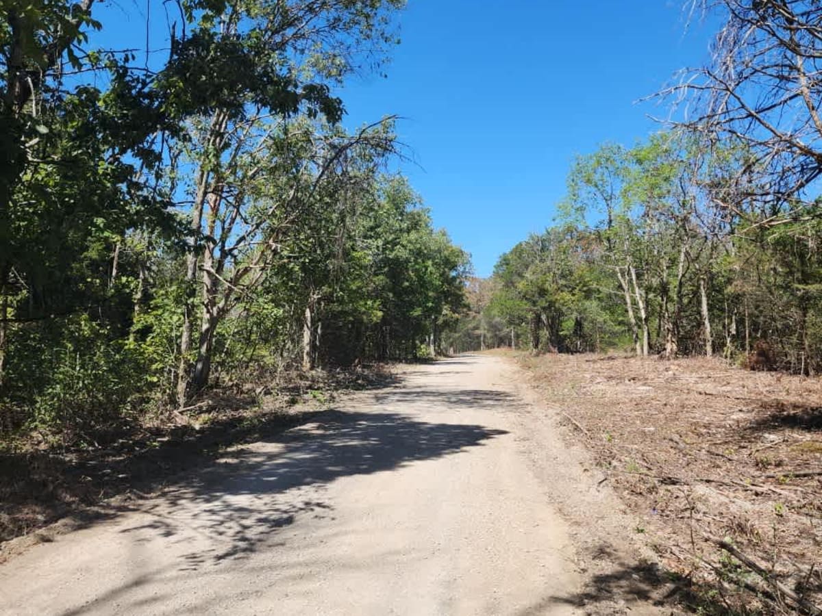 Cedar Forest Road photo 2