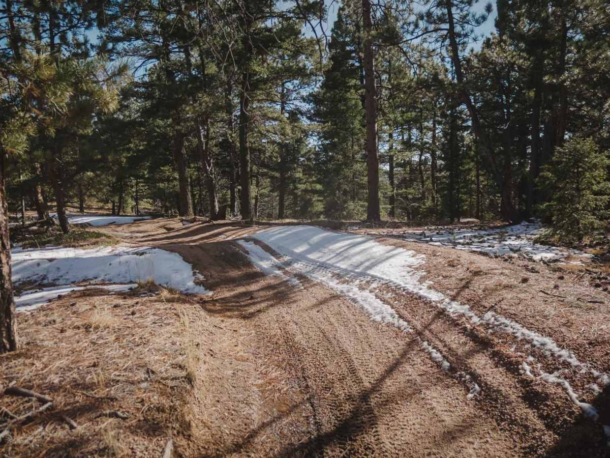 679A Devil's Head Spur ATV Trail photo 2
