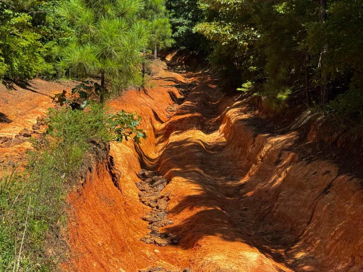 Pipeline Road photo 6