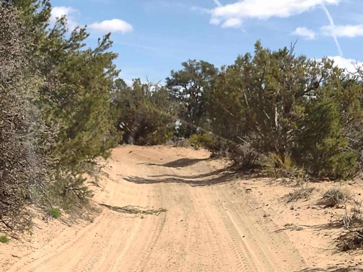 Mansard Trail North (BLM 104) photo 5