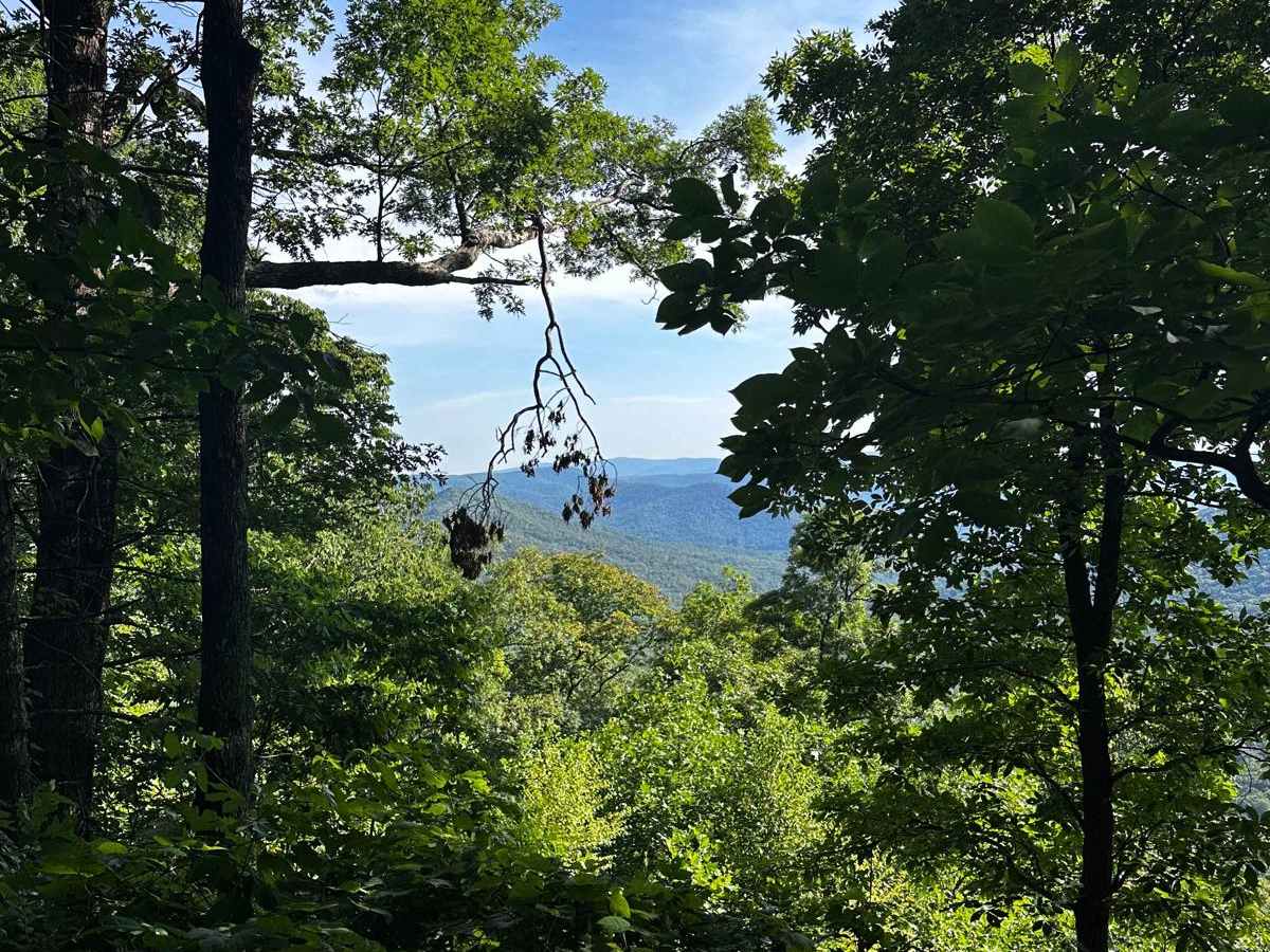 Springer Mountain Trail photo 3