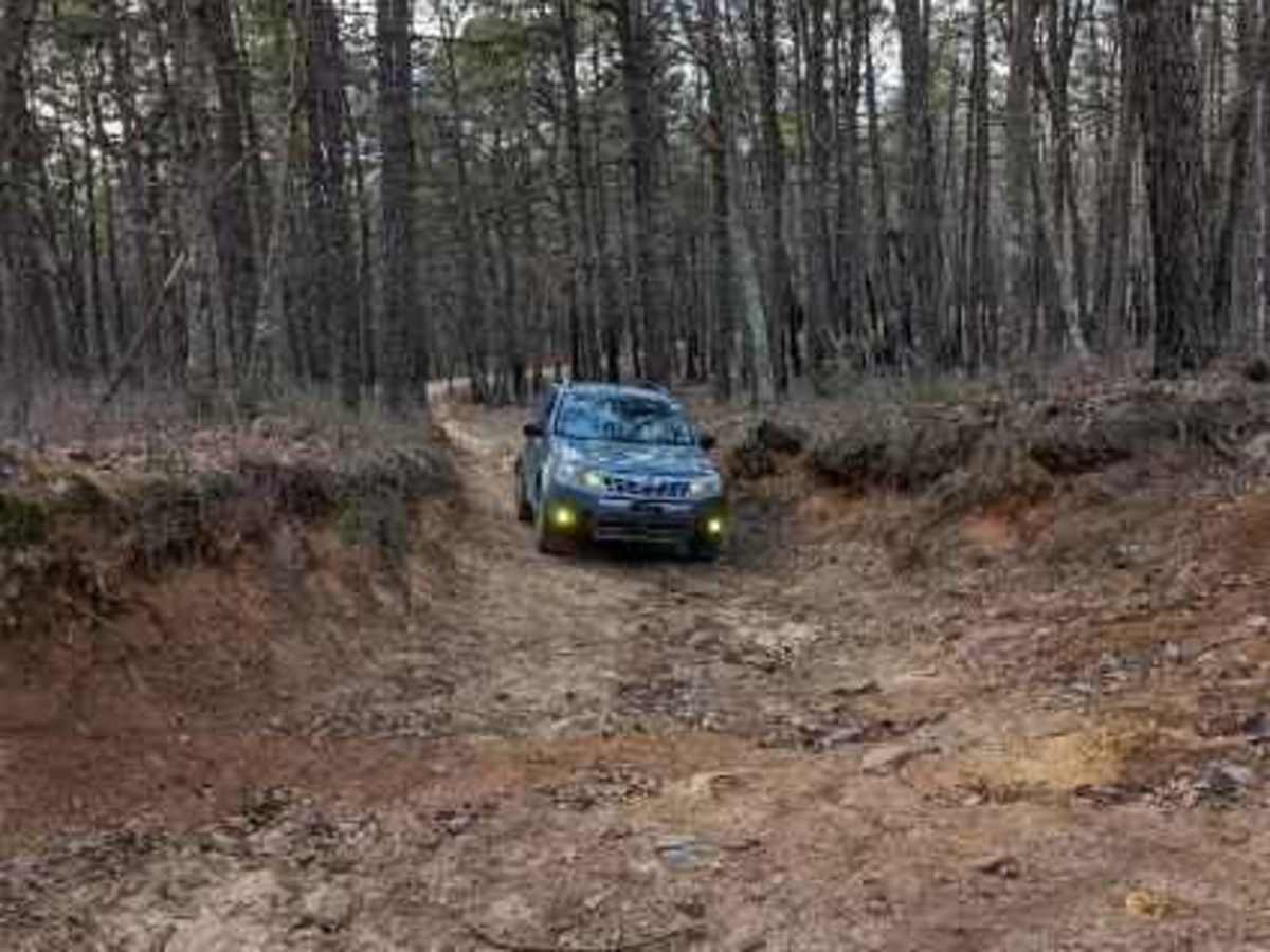 Lee's Trail trail photo