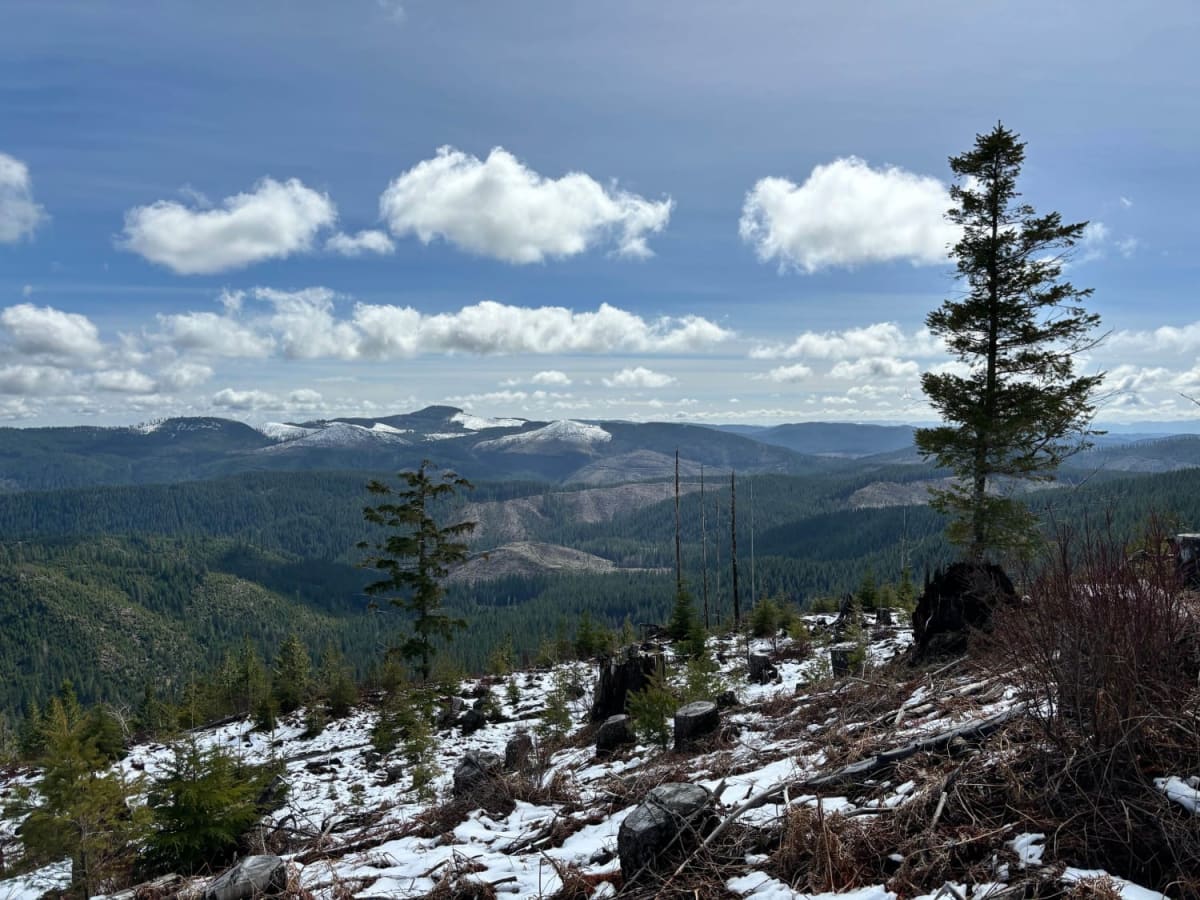 Gobblers Knob trail photo