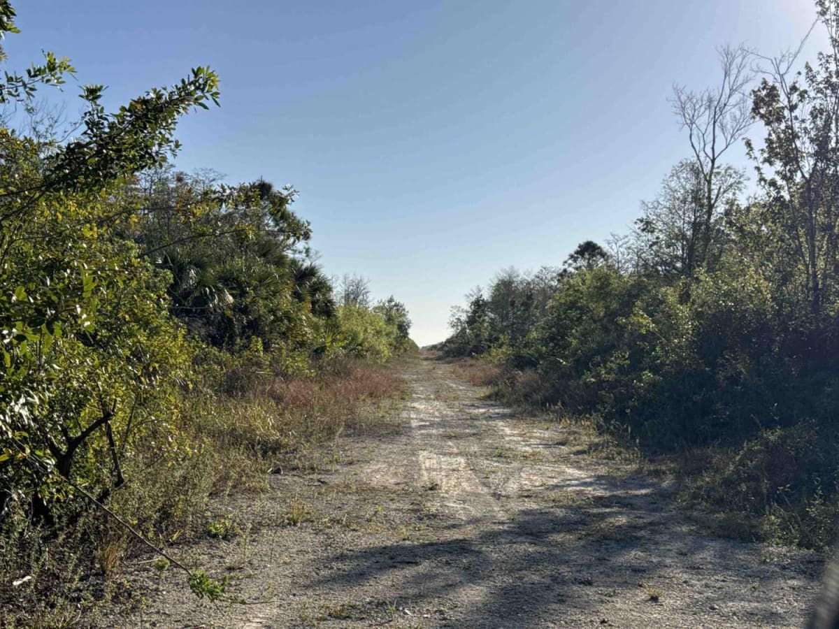 Lynch Boulevard photo 2