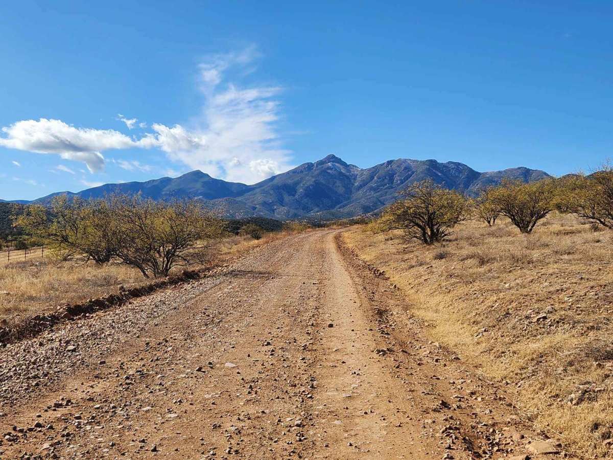 Gardner Canyon FR 92 photo 4
