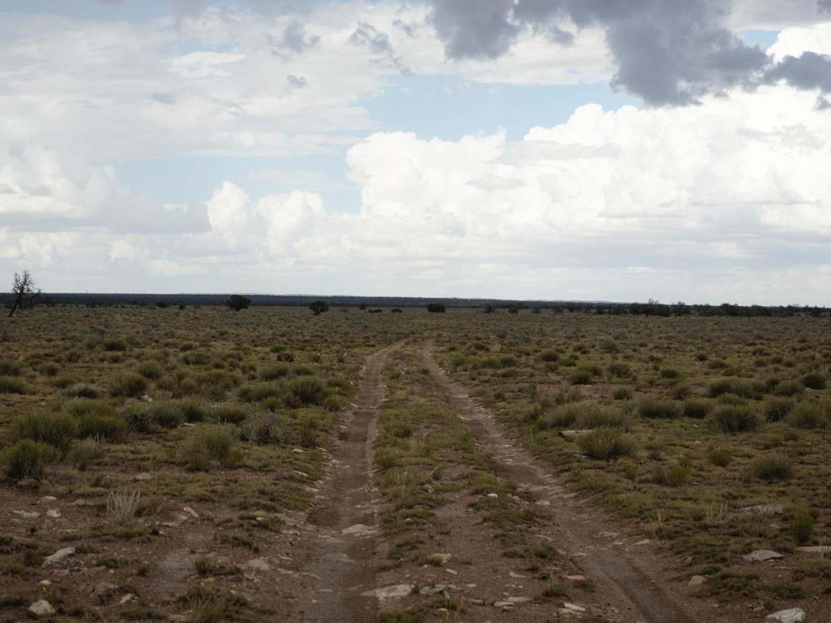 2741 Extension photo 5