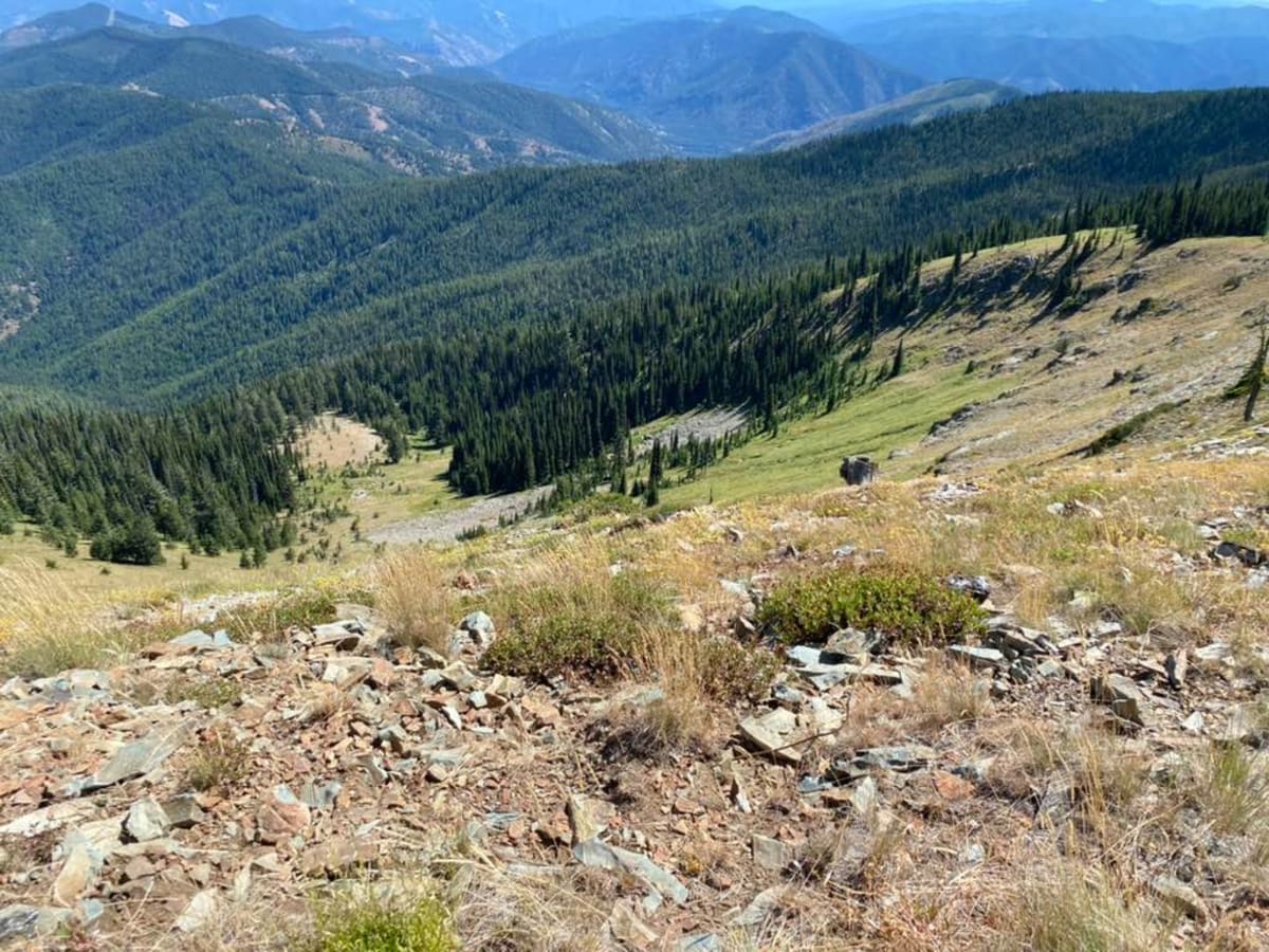 Nemote Creek to Stark Lookout photo 4