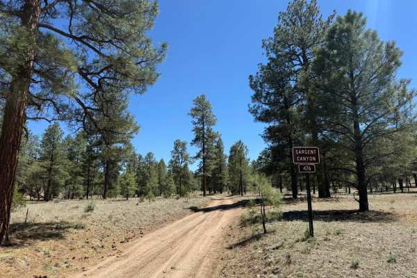 Sargent Canyon