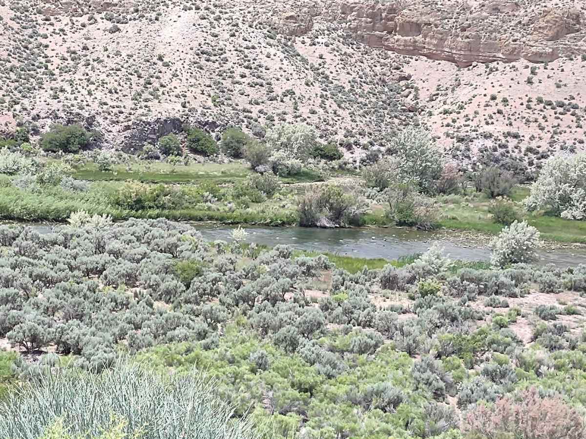 Sevier River Access (BM6241) trail photo