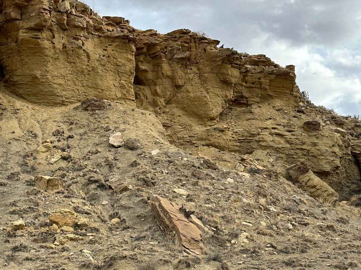 Cabezon Road trail photo