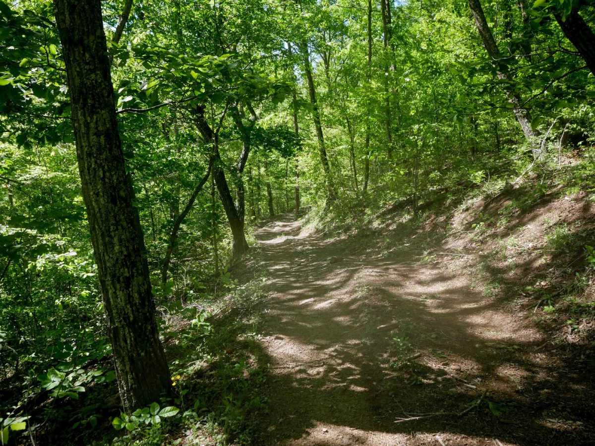 Trail 22 photo 3