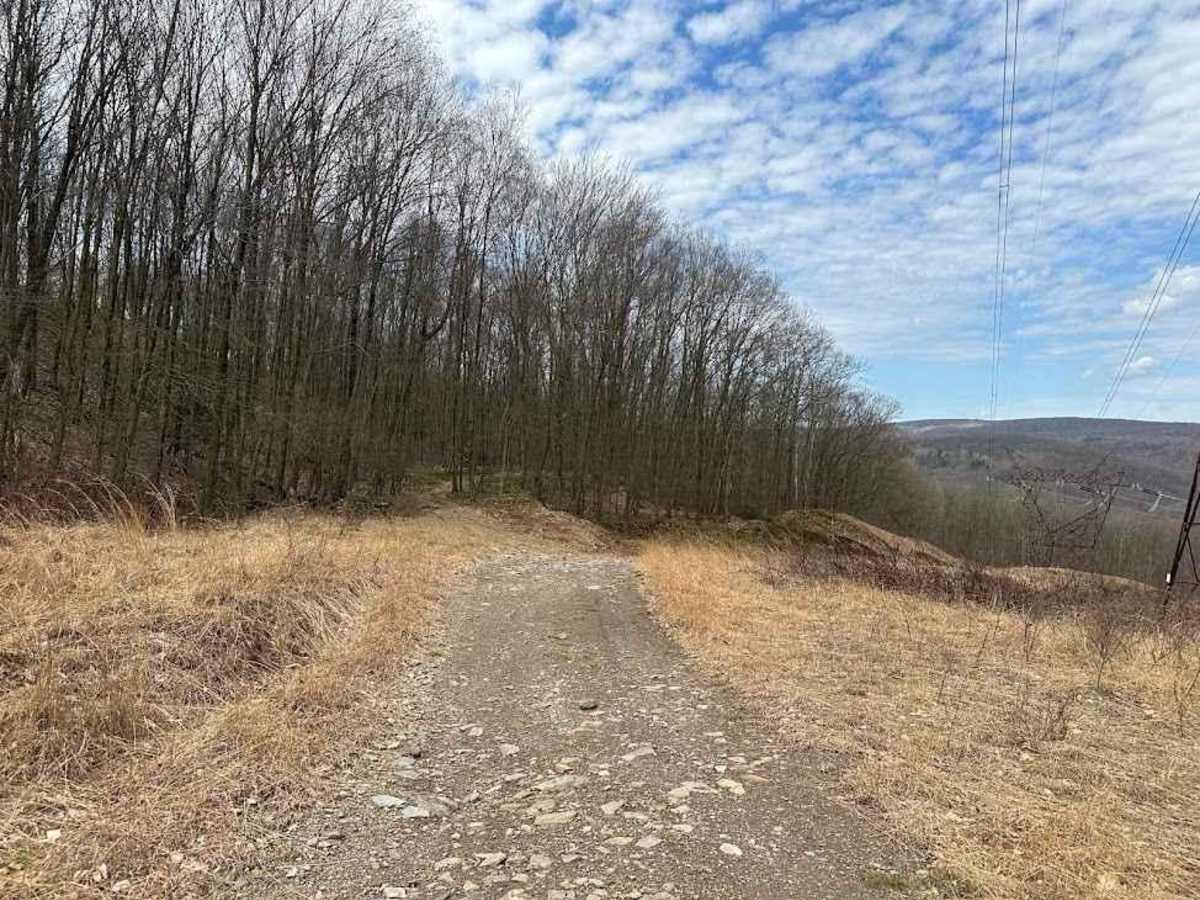Ashland 133 photo 3