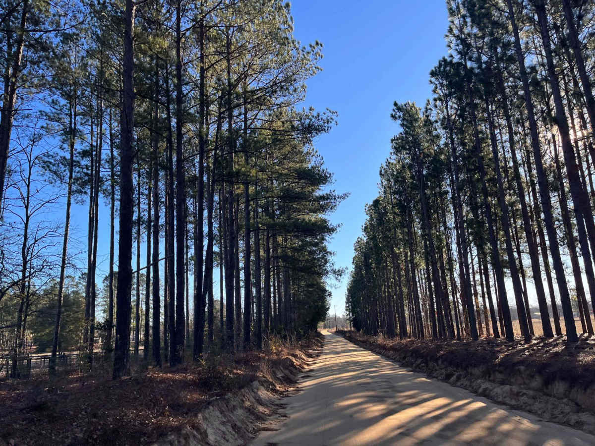 Brairwood Road trail photo
