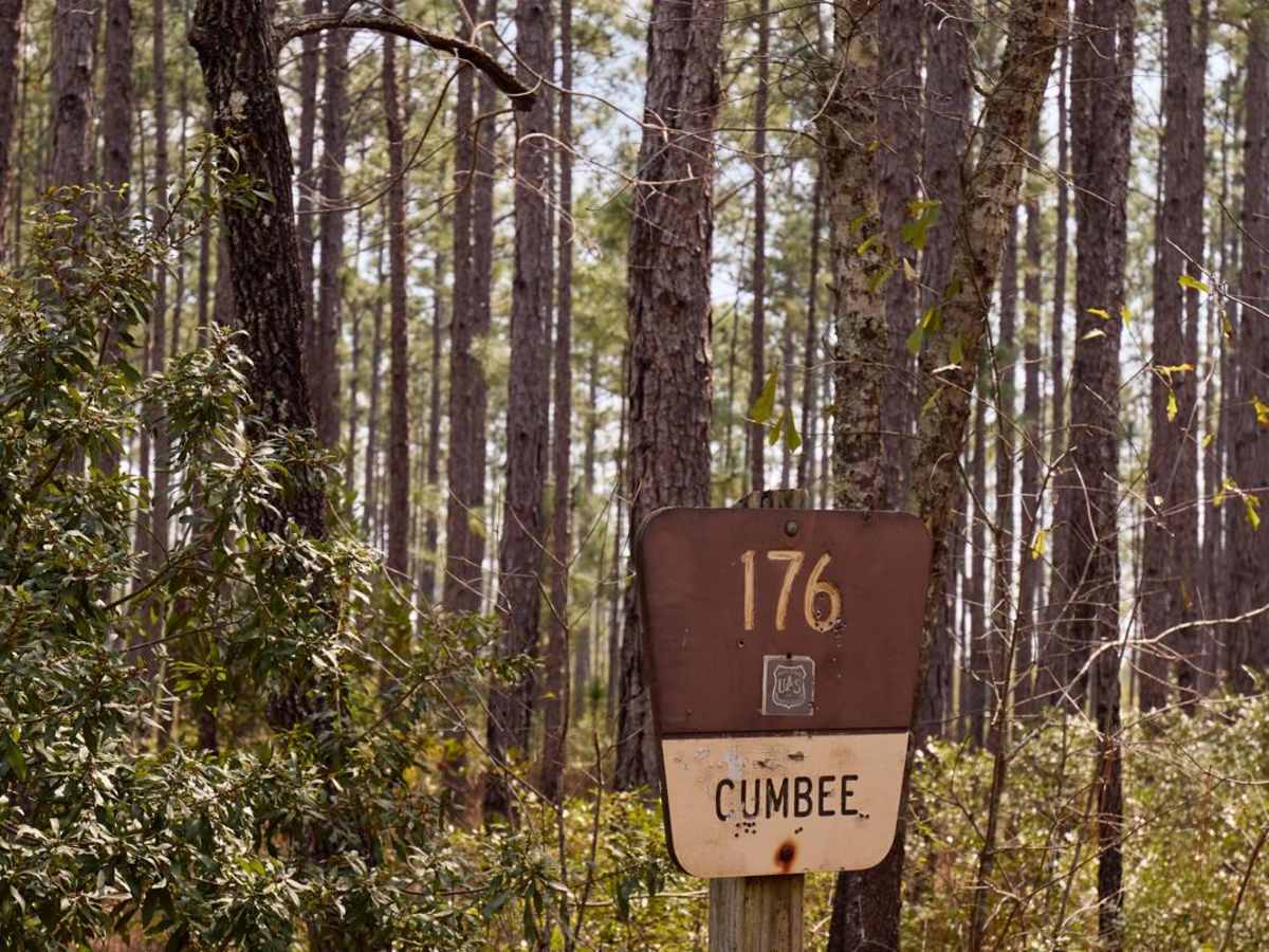 Cumbee - FSR176 trail photo