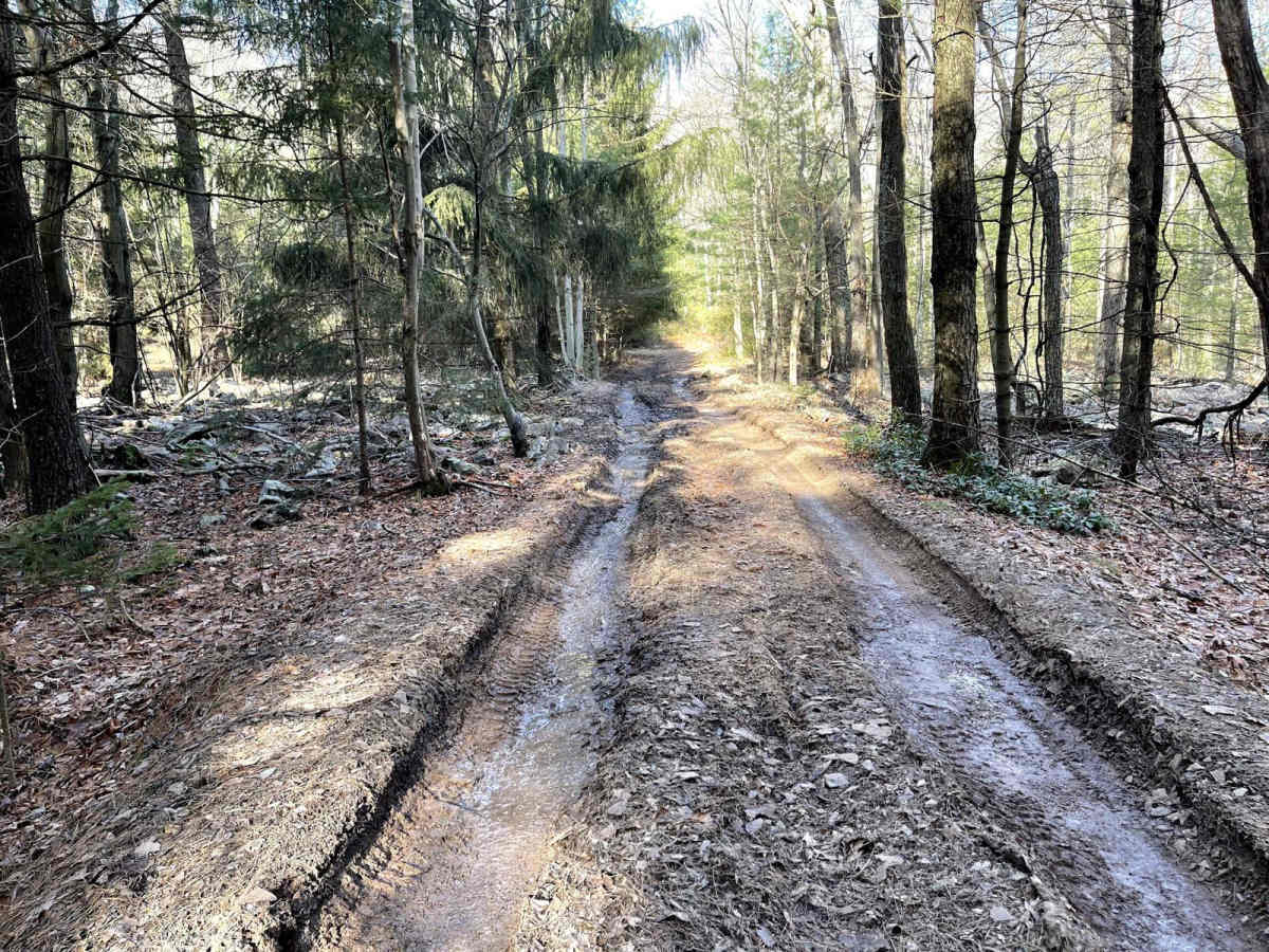 Bull Hollow Road photo 5