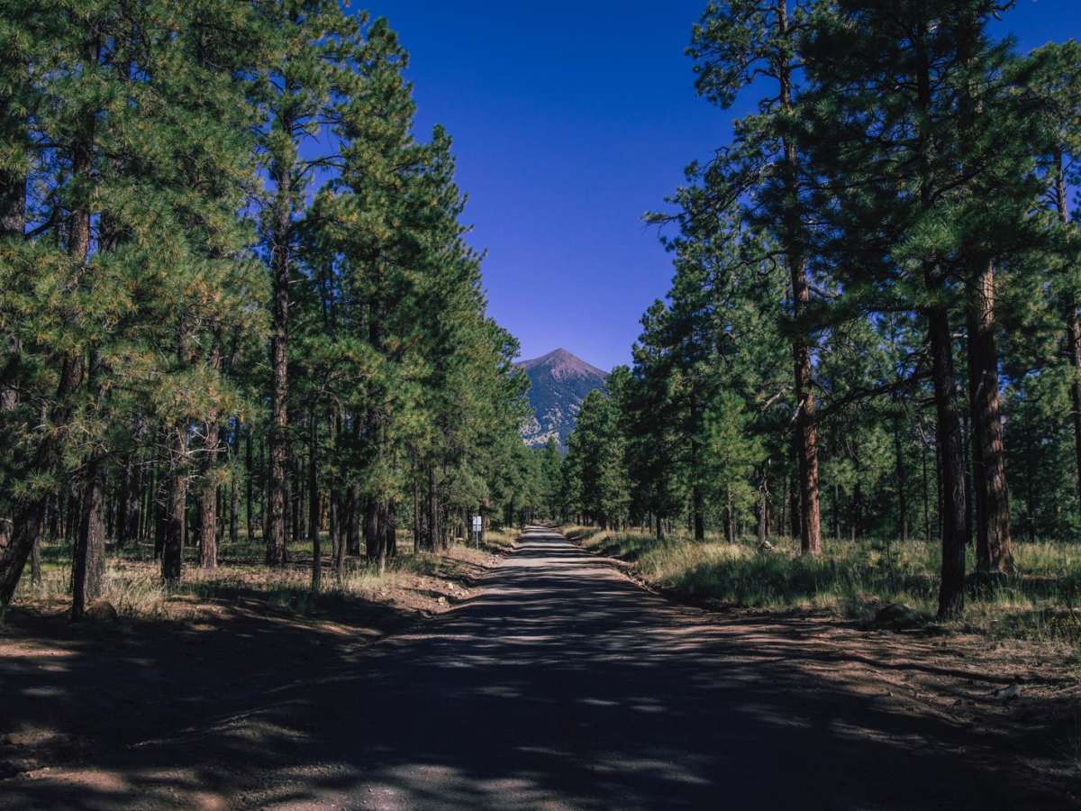 Schultz Pass photo 4