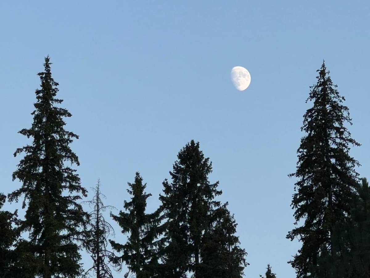 Soda Creek- FS 1172 trail photo