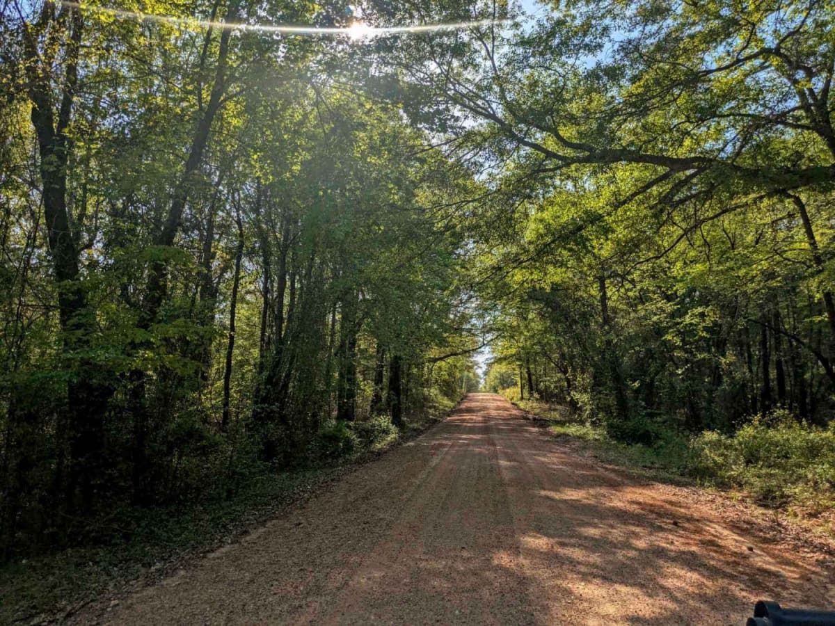 Skipjack Road photo 3