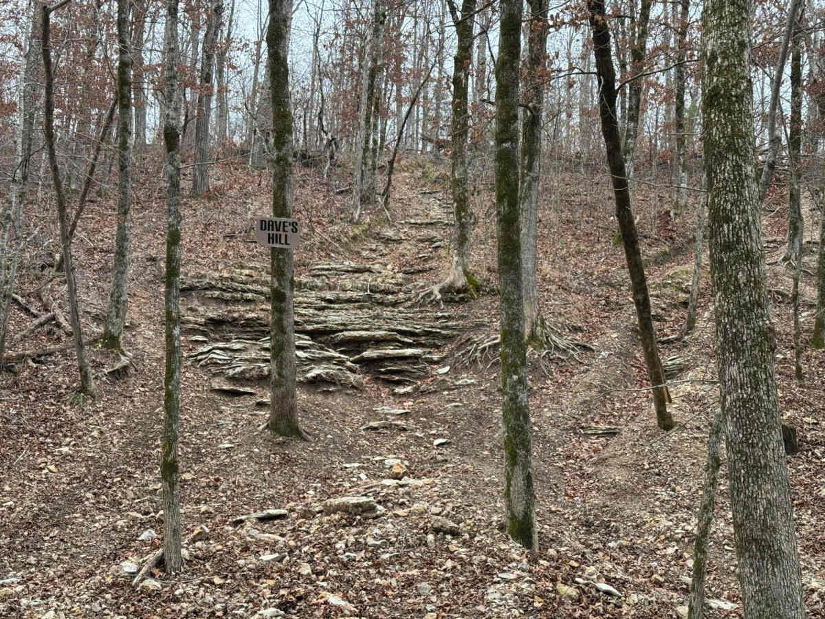Dave's Hill 354 trail photo