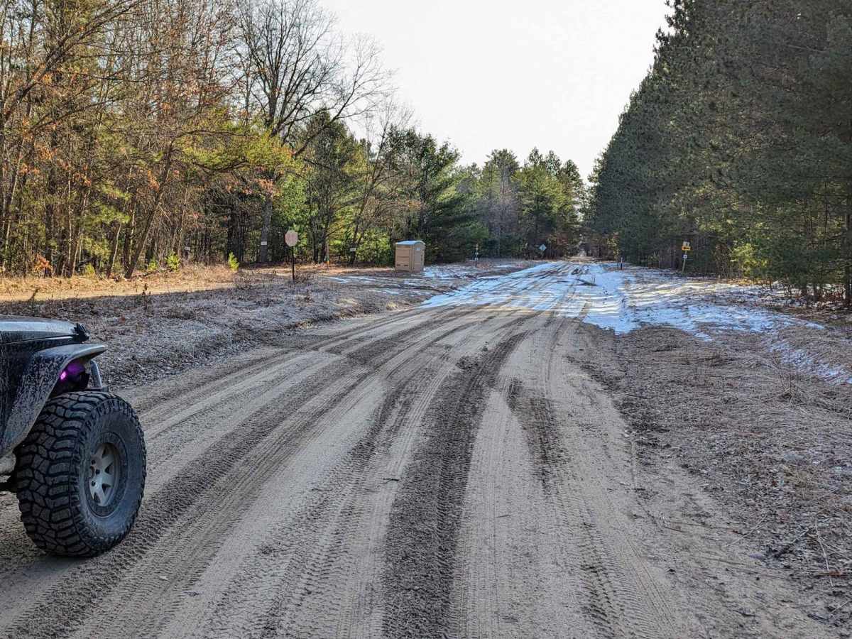 Pine Drive photo 4