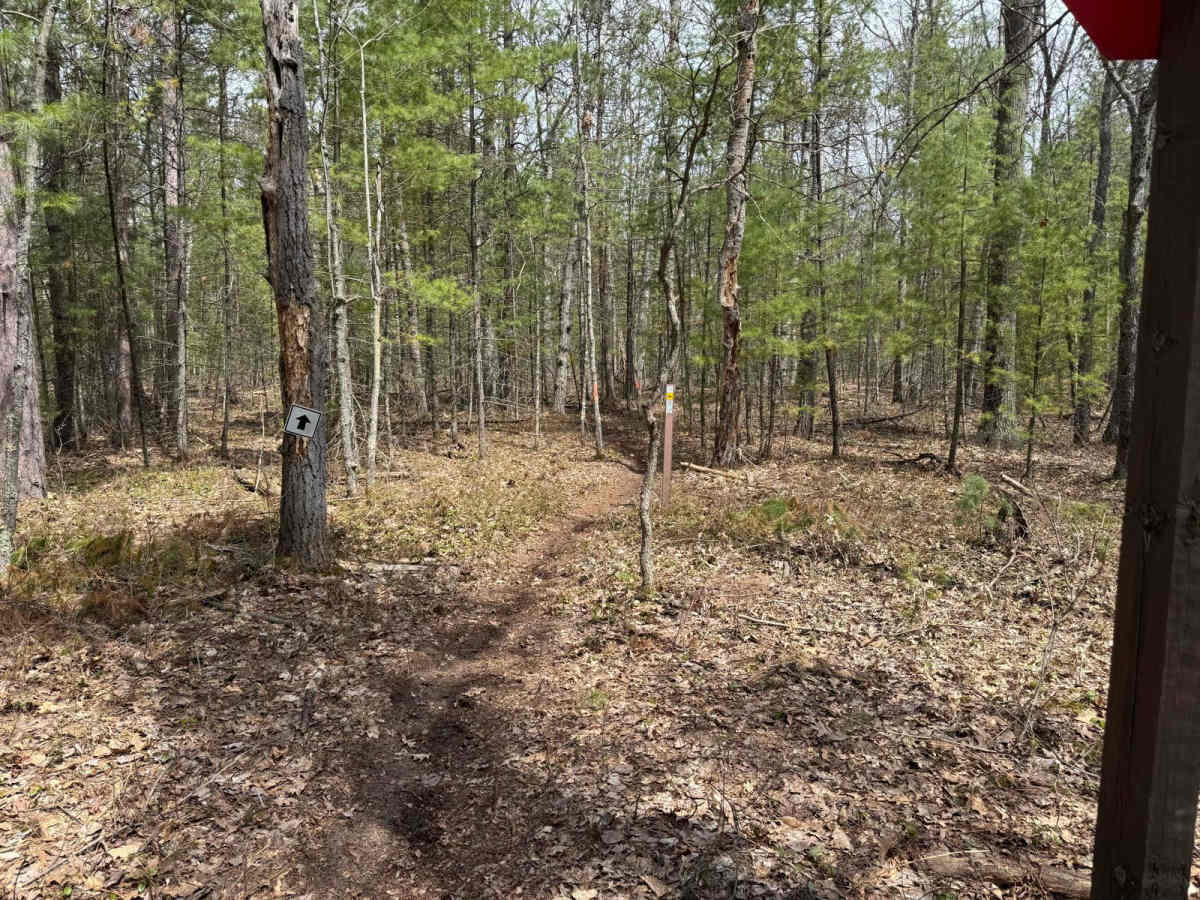 Grand Traverse West photo 5