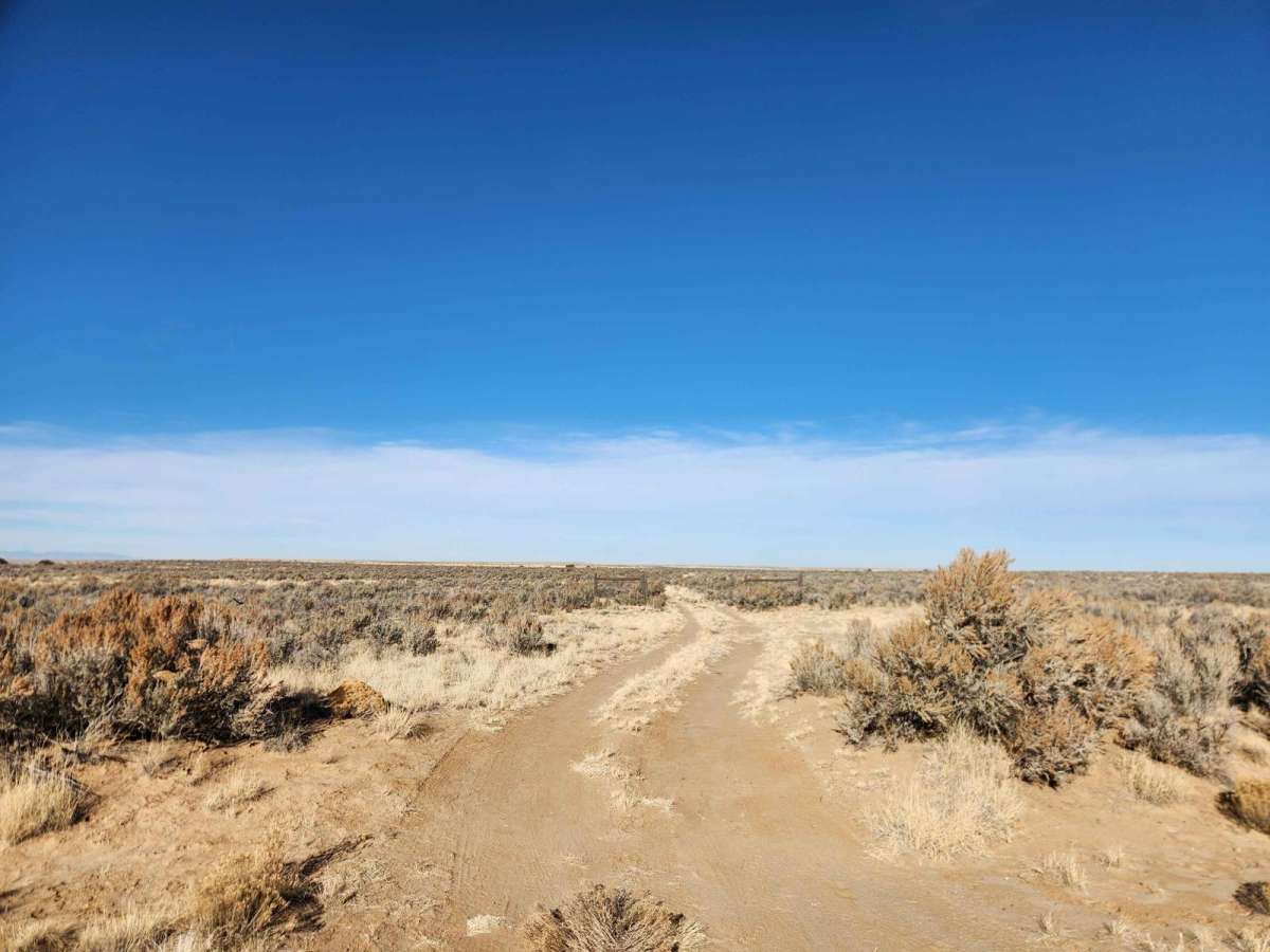 Bisti Badlands Overlook photo 2