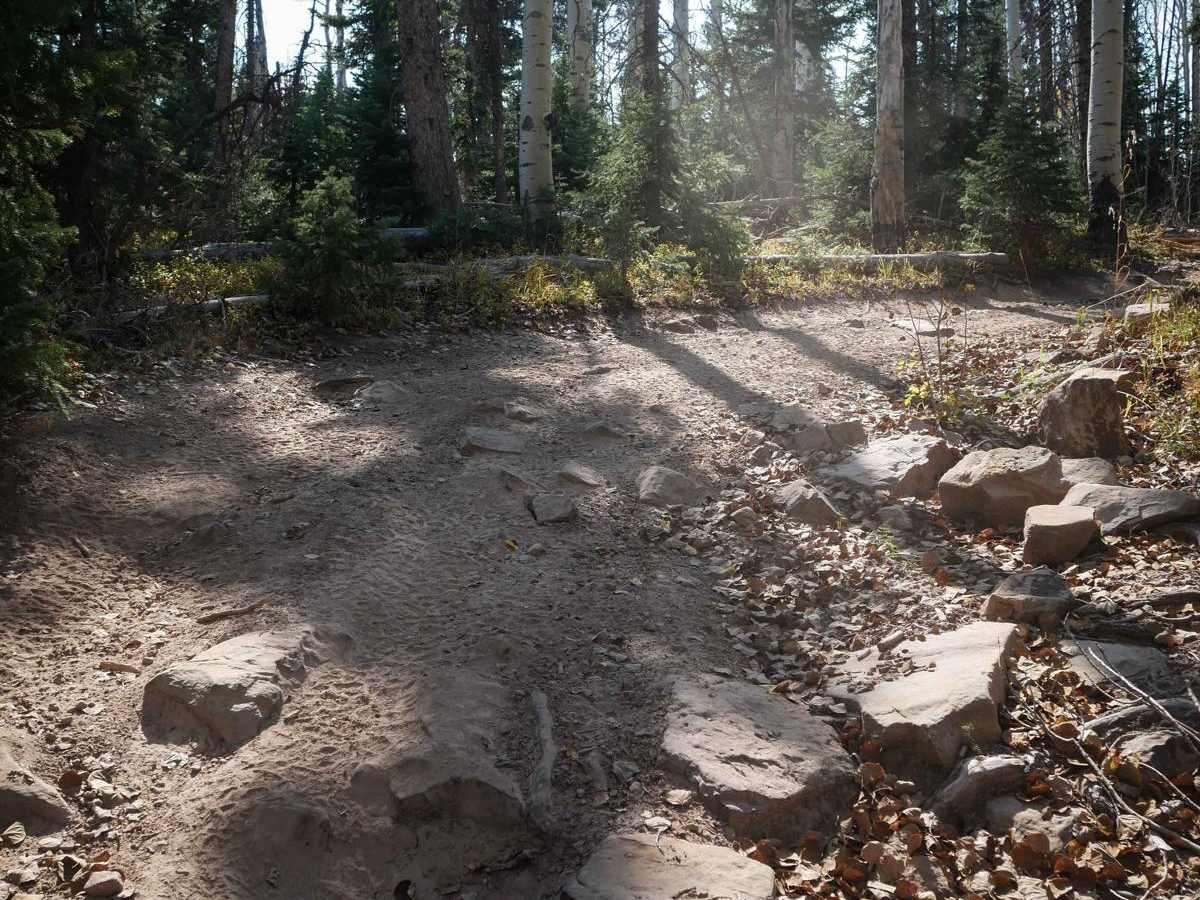 Rim ATV Trail photo 2