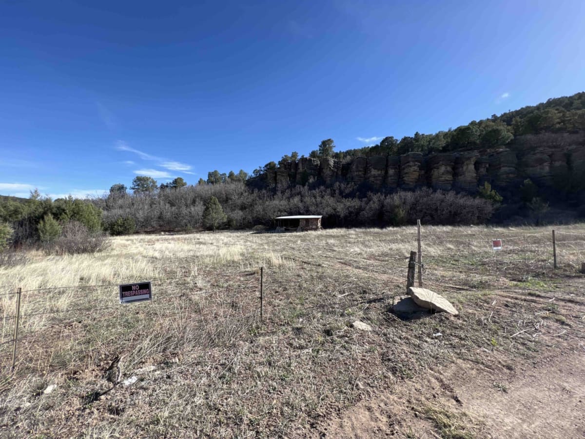 Pecos Barillas 83 photo 6