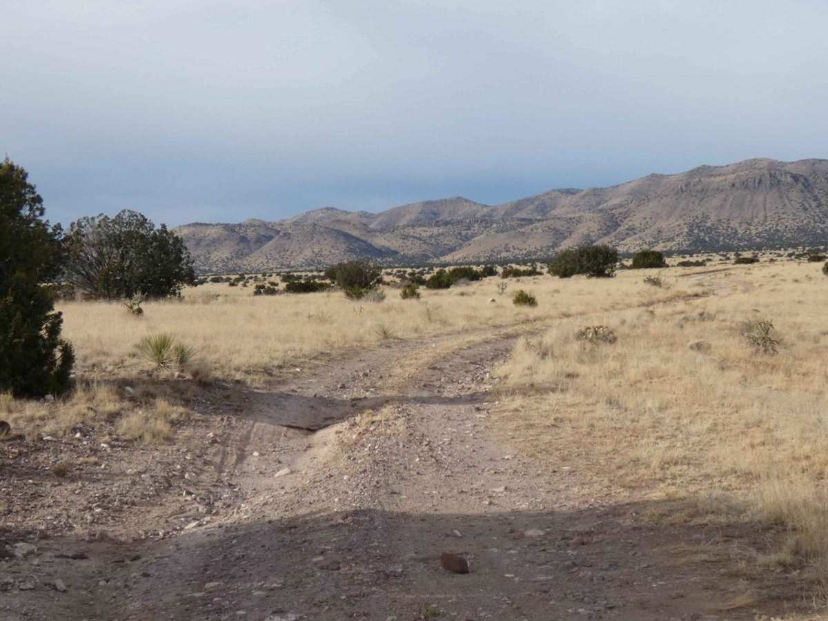 Jack's Valley photo 3