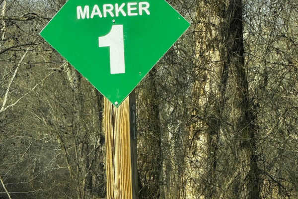 Main Loop