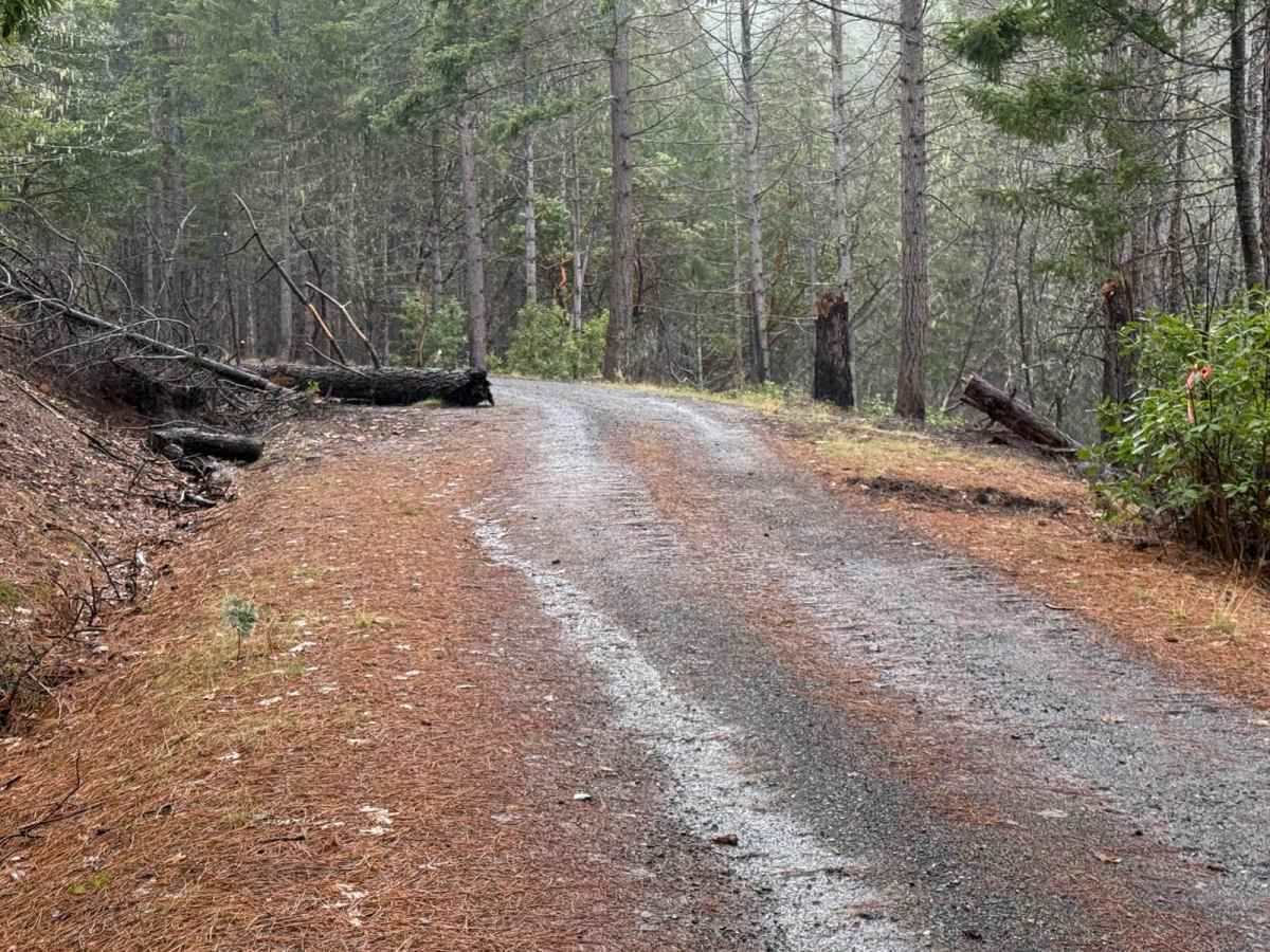Taylor Ridge Road photo 6