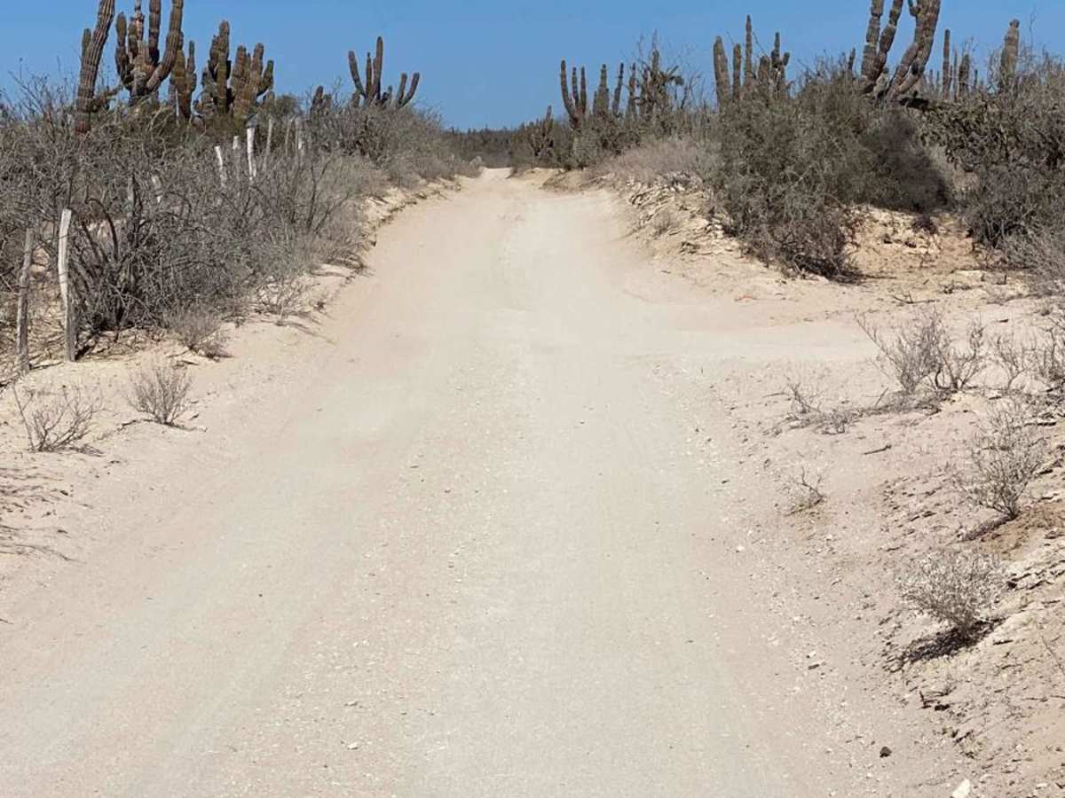 El Chaparral photo 5