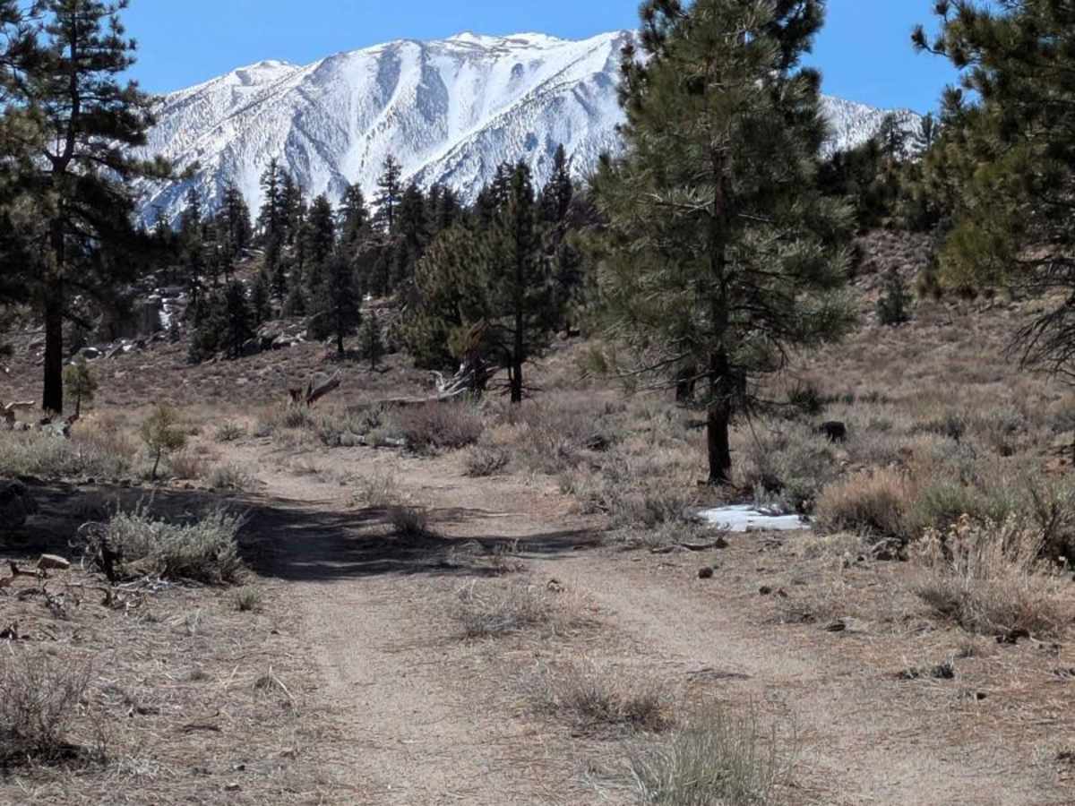 Round Mountain Loop Alternate photo 6
